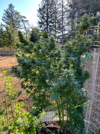 48FDC01A-D529-44AC-96C5-6438F53C9DC7