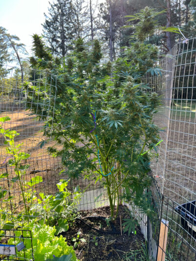 A797D481-257C-4190-8B0D-6955FF3740D9