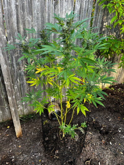 668BD364-C59D-4C2E-9E8A-E368C4AB593A