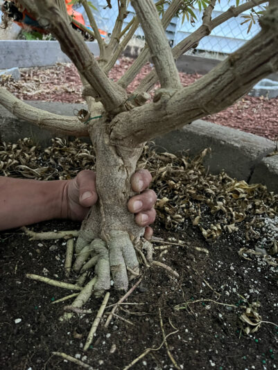 9EB2E5FA-DE36-4E2B-A3C0-EFB46D2B1AA3