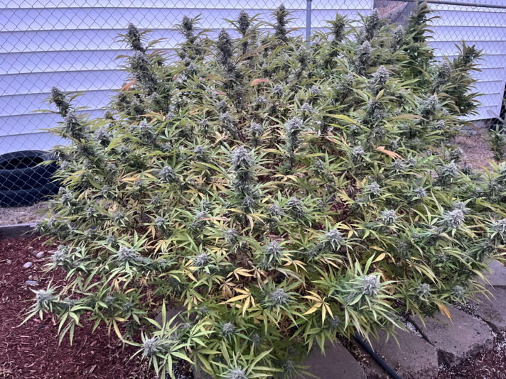 F2A24FDF-1C60-4134-9AB1-1FB475ACAEA3