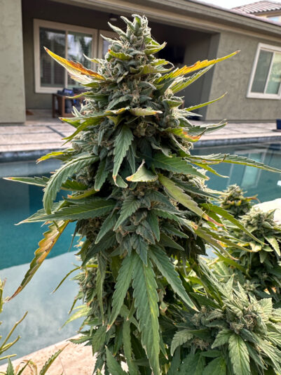 F643BB43-E5F0-4BDC-9498-BBF2E44396B2