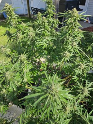 02cbe22f-da07-44b4-826f-7a3b10ecd589