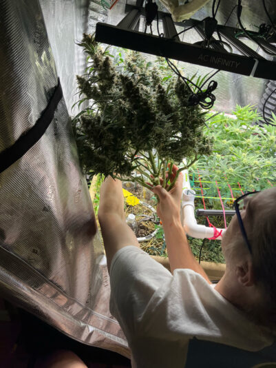 93678586-A85A-4717-92ED-848C33E419F1