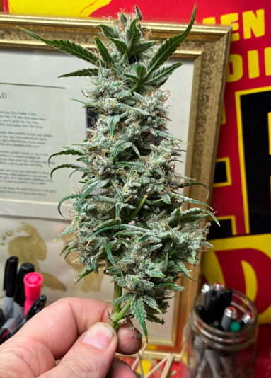 14CBA13C-742D-4B24-BF46-22E33B3596AB