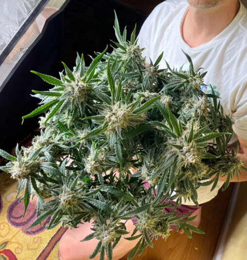 CFEA5E49-1C50-4458-A098-14D42C162954