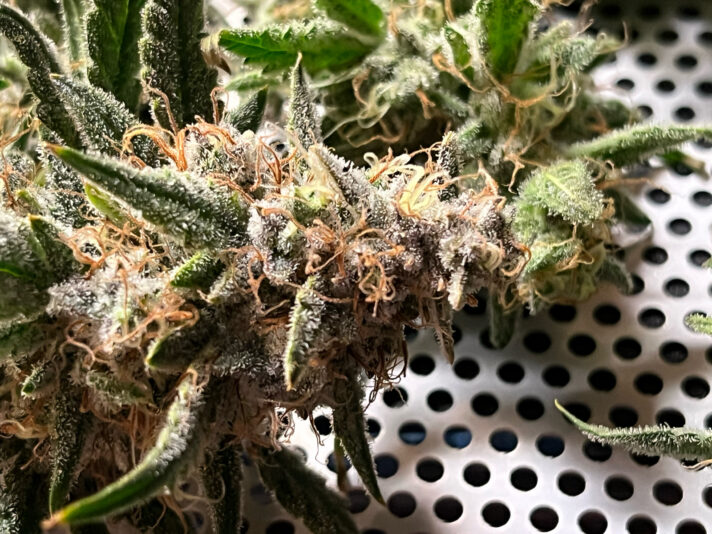 1F0DB982-2FF8-403C-B7D8-0C294FA367D2