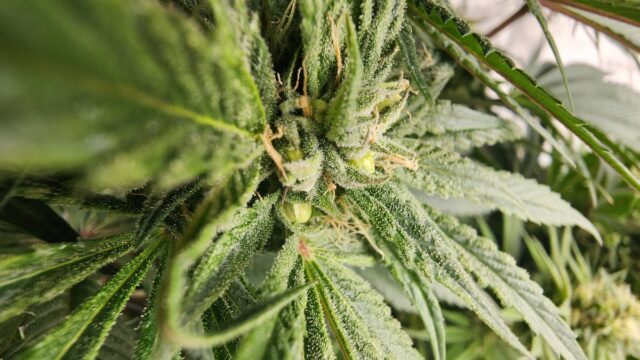 02c54845-2992-4c15-a4c1-c918b5e07c68