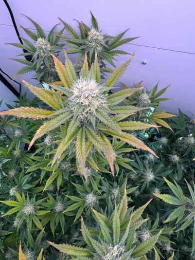 3446B872-9A12-48FF-BA76-B0D7C02721B4