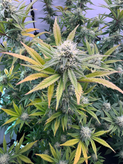 AA001B82-9E1C-4A74-9D95-4CC121064B02