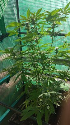 photo_2024-10-07_23-07-43