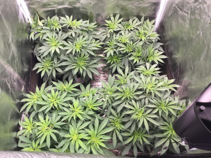 24DD9255-B516-44C5-BA76-52FFA6D17690