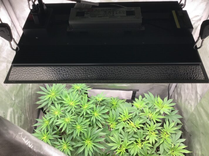 530480CB-59C9-4D88-AE48-093431E0AD64