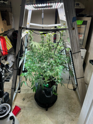 86B61FC8-22A8-4CF6-99EF-CC2E19677448