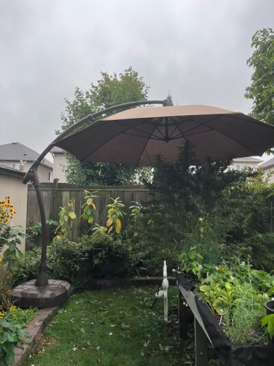 B09F6836-B758-4173-9D79-77E82DF4A7EE