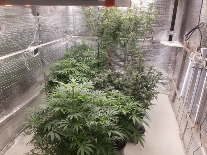 f2536bd0-3a84-4f2a-802e-4d0eea50a4d9