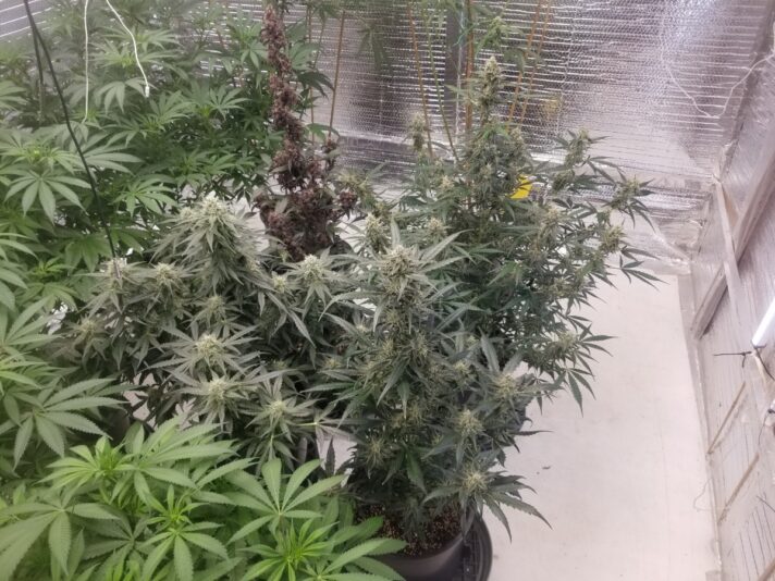 38061a81-e4d3-46cd-a02f-7814875e6ba7