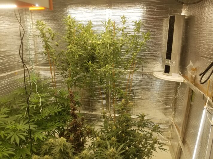 ec49f0c2-db1c-4f0a-ba61-43948e98b048