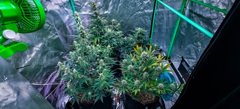 2fbfec58-49c3-4e86-8078-949d88684033