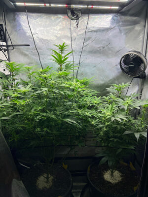 D3CBB6BF-8BE9-44CB-8D58-B00BFF9F20FC