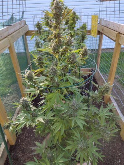 ba824989-b6c1-4c00-b4e4-bb612c4a0f50