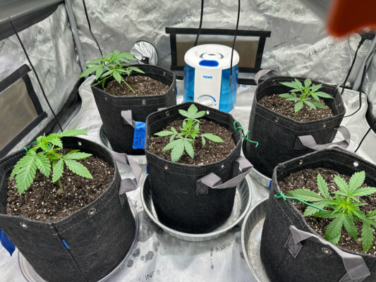 DBF1C8E8-2999-4FB7-94E3-01B241C7AD76