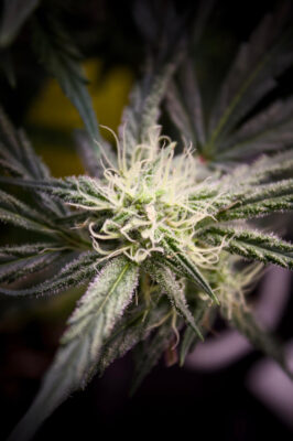 536EF02E-1701-40B4-AAB0-62F8D2D3B8EC