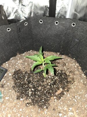 3197e232-1452-4c27-9a47-da1774fc4661