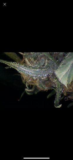 06F0E9FD-0C36-4DE4-9639-36BCB0A3999C