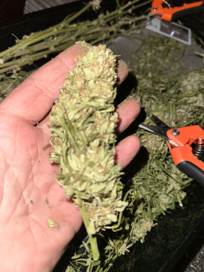 B540CECF-4DF4-479F-BE22-EA1D3274D77C