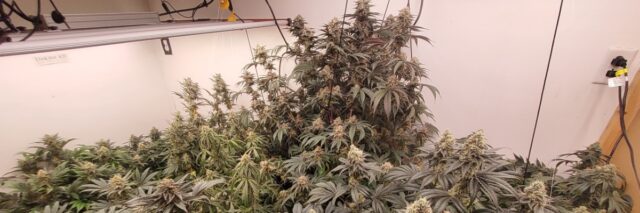 543b38ef-830b-4eaa-bee7-4f0c297b07dd