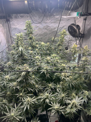 686B6862-8586-4580-9969-0B987F88AE3D