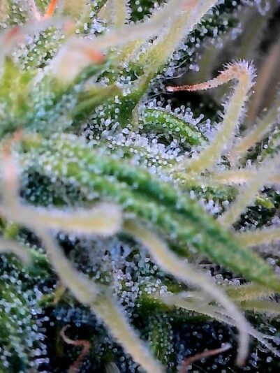 48093E85-9485-4F02-B109-70DAB871362C