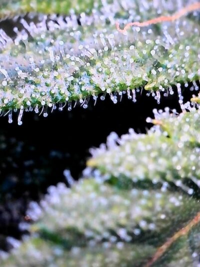 9575283E-4A55-41D7-90FC-020FED176E71