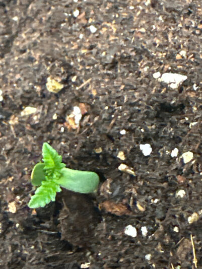 63B21E56-0E5B-4666-AA27-C32D2FD59950