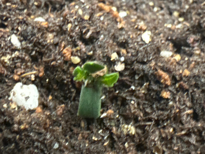 FC200879-DBBA-4993-B989-FBB50C712E19