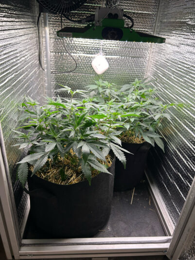 7686C15B-89A5-4FDA-B539-229BBA7634CF