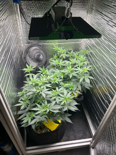 85E73391-934F-4240-8132-85808F2E010A