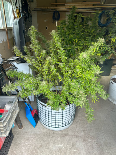 72868087-0D75-4374-8F9A-7702E7D766E2