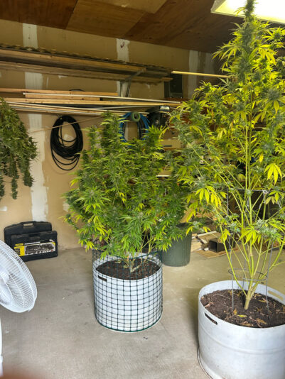 2E0CD1B6-BC50-459F-9BE8-C8268E0EB2A0