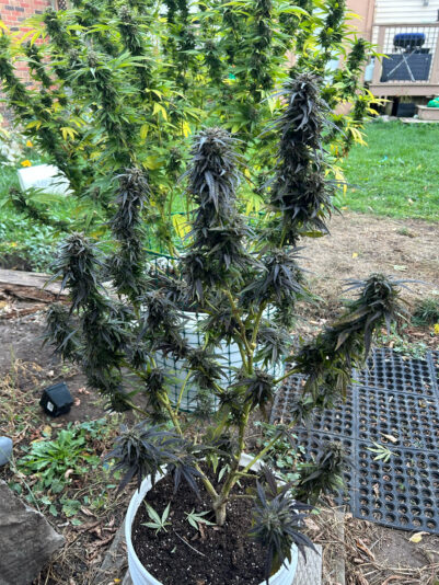 26822B37-D8CB-46B0-A1B4-12BEAFDF4A22