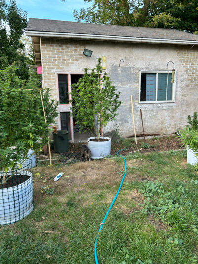 3AD2C7D7-0770-4917-945F-1BB0F7A77788