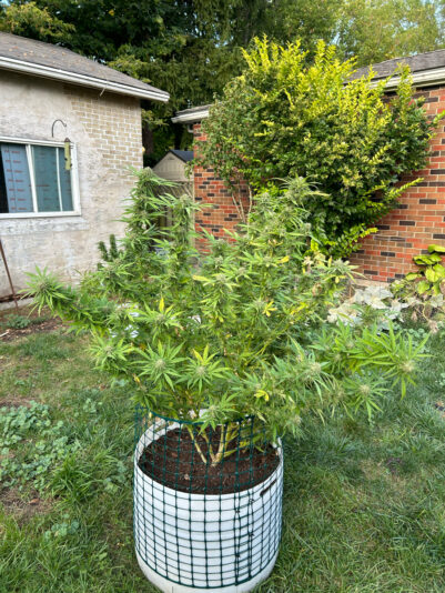 D46F4A83-D892-4338-A414-9577B9CD48E2