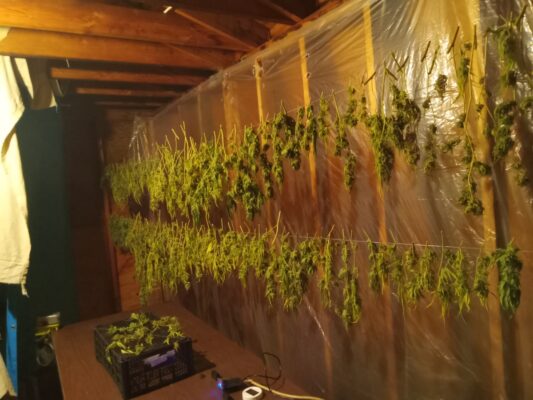 412d3c1a-1955-432f-a090-804e08acff29