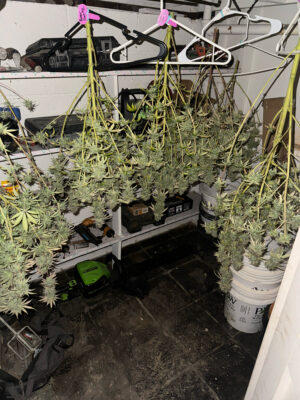 1D1B3ADE-4715-4ADF-9901-3FE6ED593A60