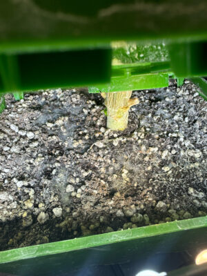 DB0F2B5C-037C-41E7-B181-07E19C2A593A