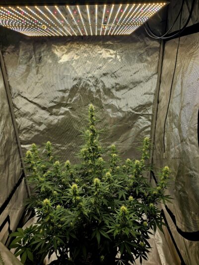 839a96df-eba1-4196-a2e7-7f7dfb4b5993