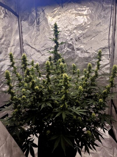 c57d1ebe-47c5-46cc-a621-14eca0ff5580