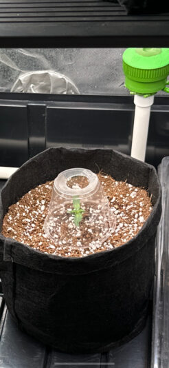 EC719B2A-27F1-43C3-AC7C-AFE812841025