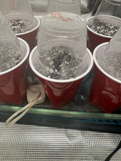 C910E350-469B-4494-BEF2-6AD8464387DA